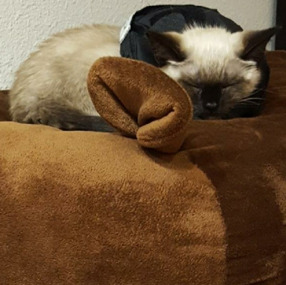 Meet your Posher, Sabrina